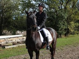 2011 Efterårsstævne